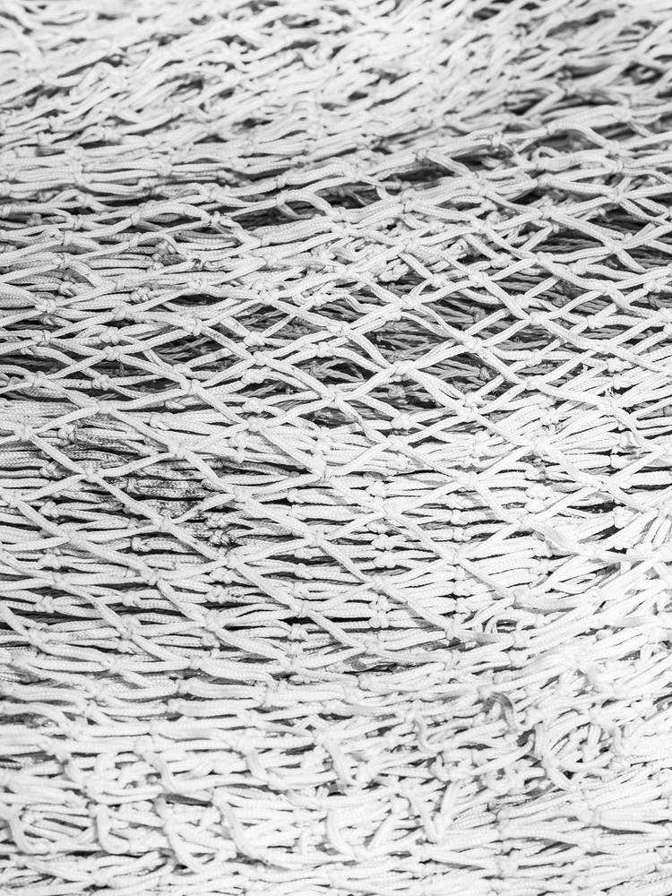 Black And White Image Of A Net 1
