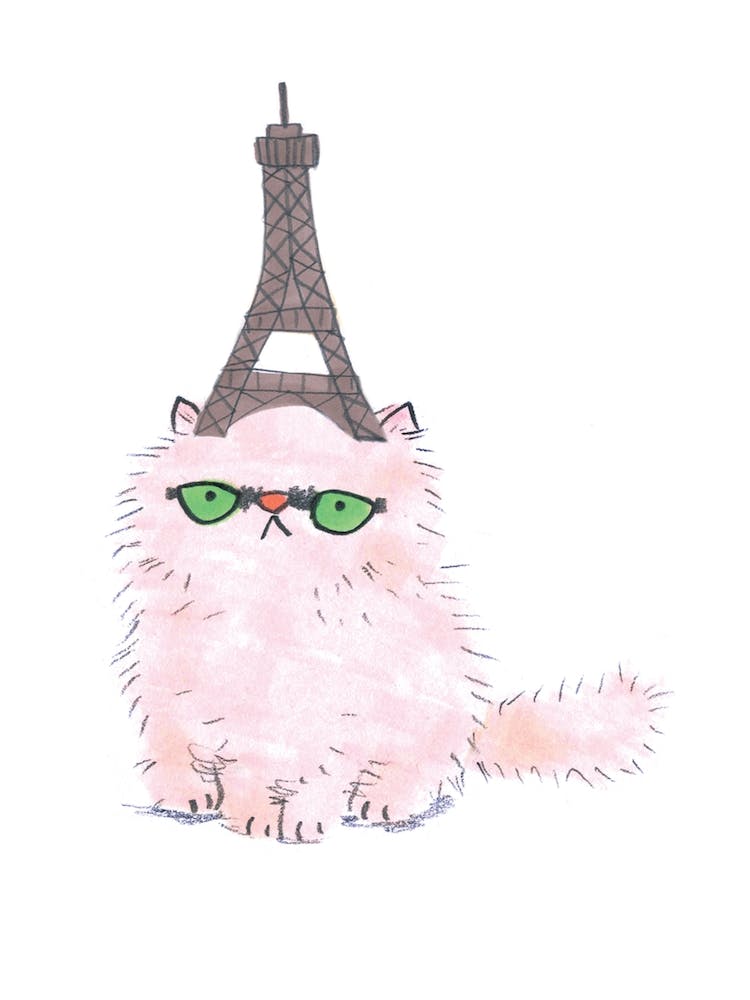 Paris Hat Cat
