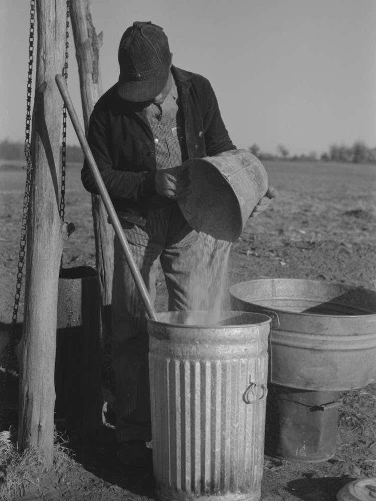 Pouring Bran Into Can For Mixing Into A Mash For The Hogs, Sons Of Pomp Hall, Tenant Farmer, Creek County, Oklahom
