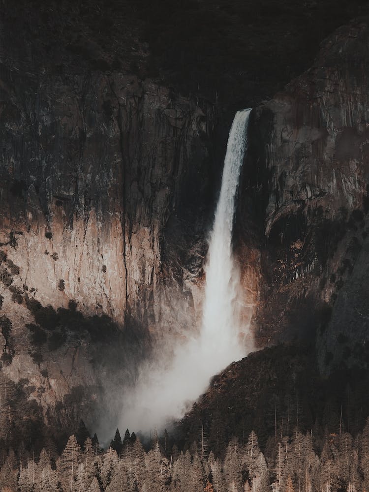Rustic Forest Waterfall