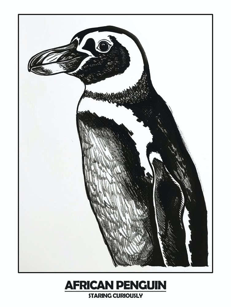 Penguin Staring Curiously Poster