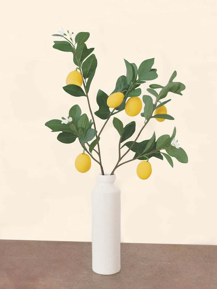 Lemon Branches Ii