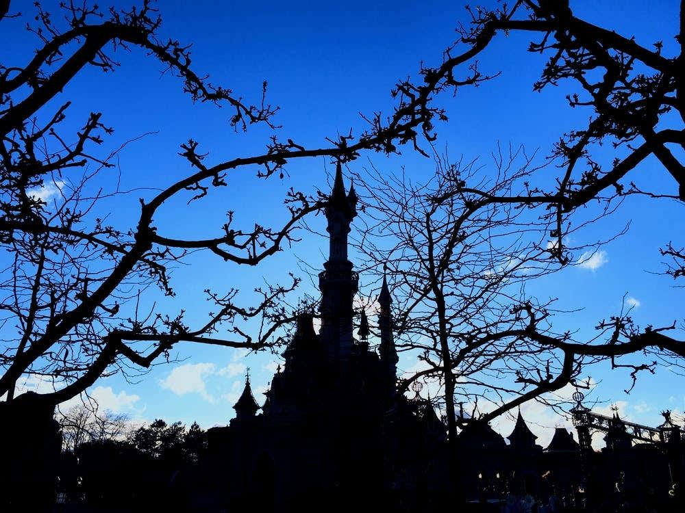Silhouette Of Castle (Paris Series)