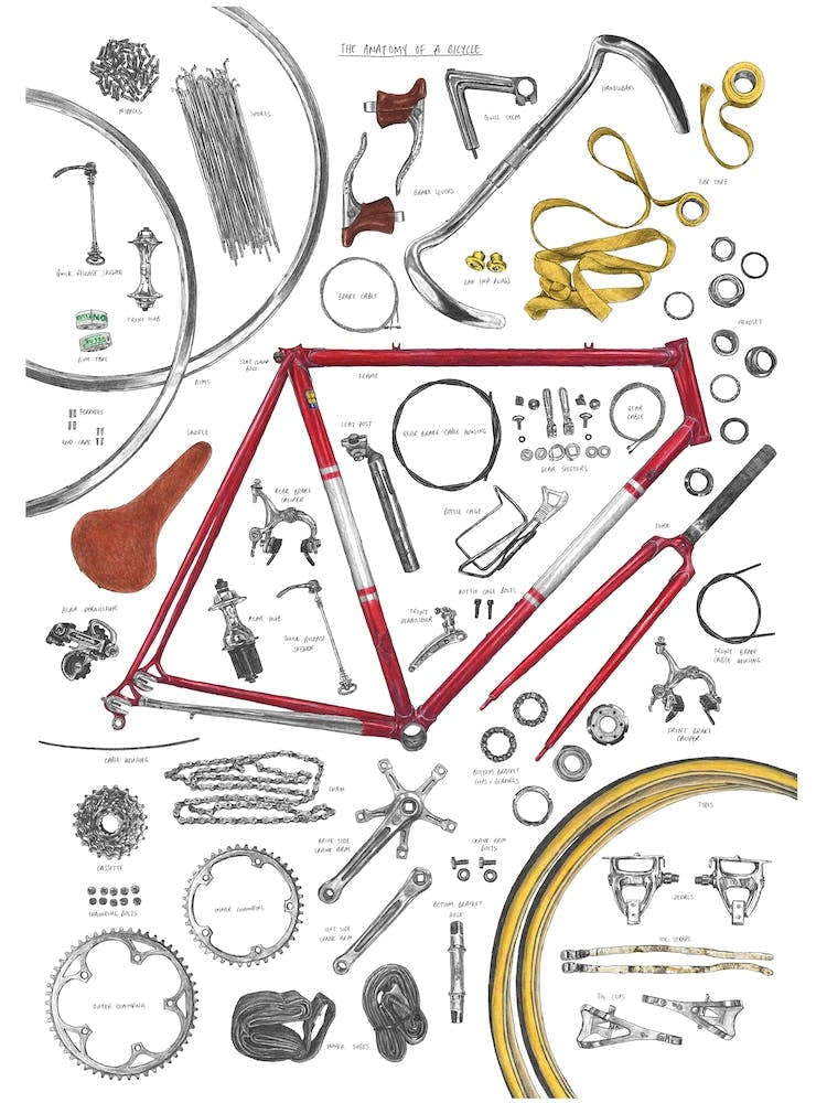 Anatomy Of A Bicycle
