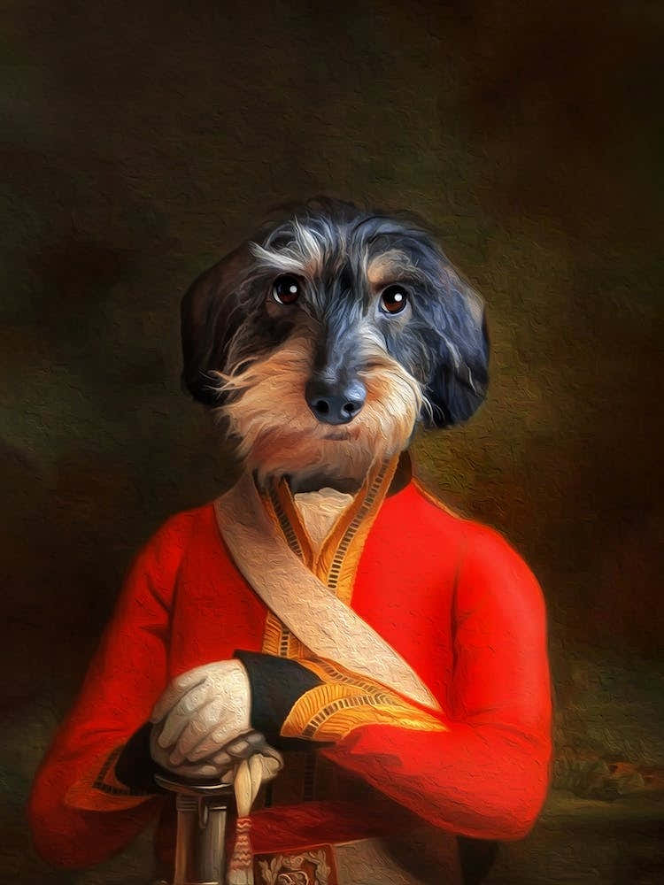 Hunter The Dachshund Pet Portraits