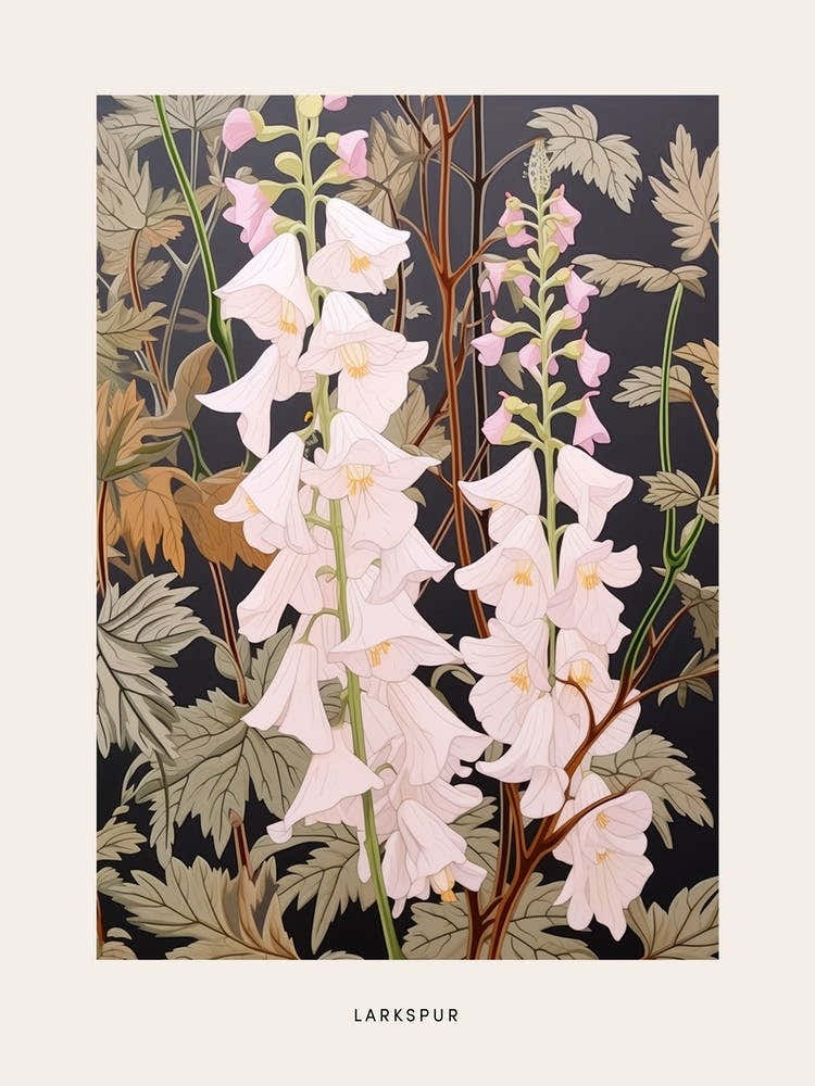 Flower Illustration Larkspur 2 Poster
