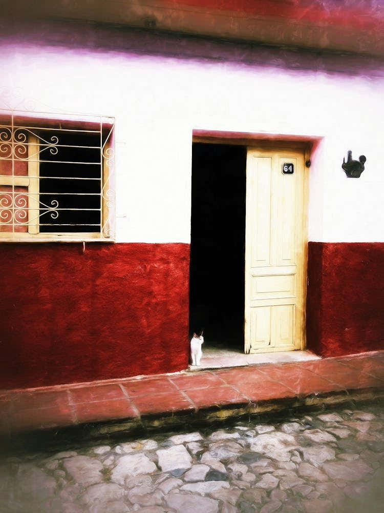 Cat In Doorway Cuba
