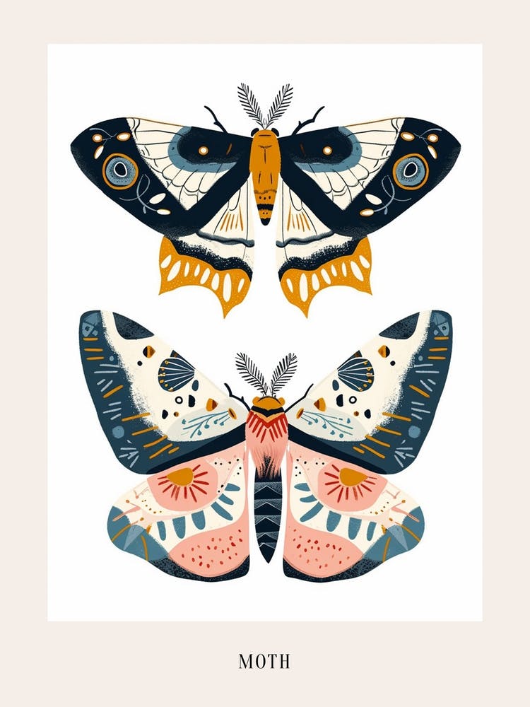 Colourful Insect Illustration Moth 35 Poster