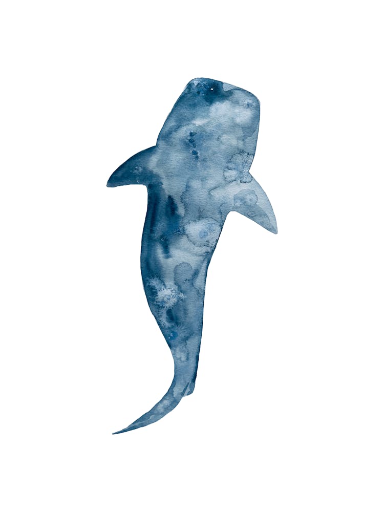Whale Shark Watercolour