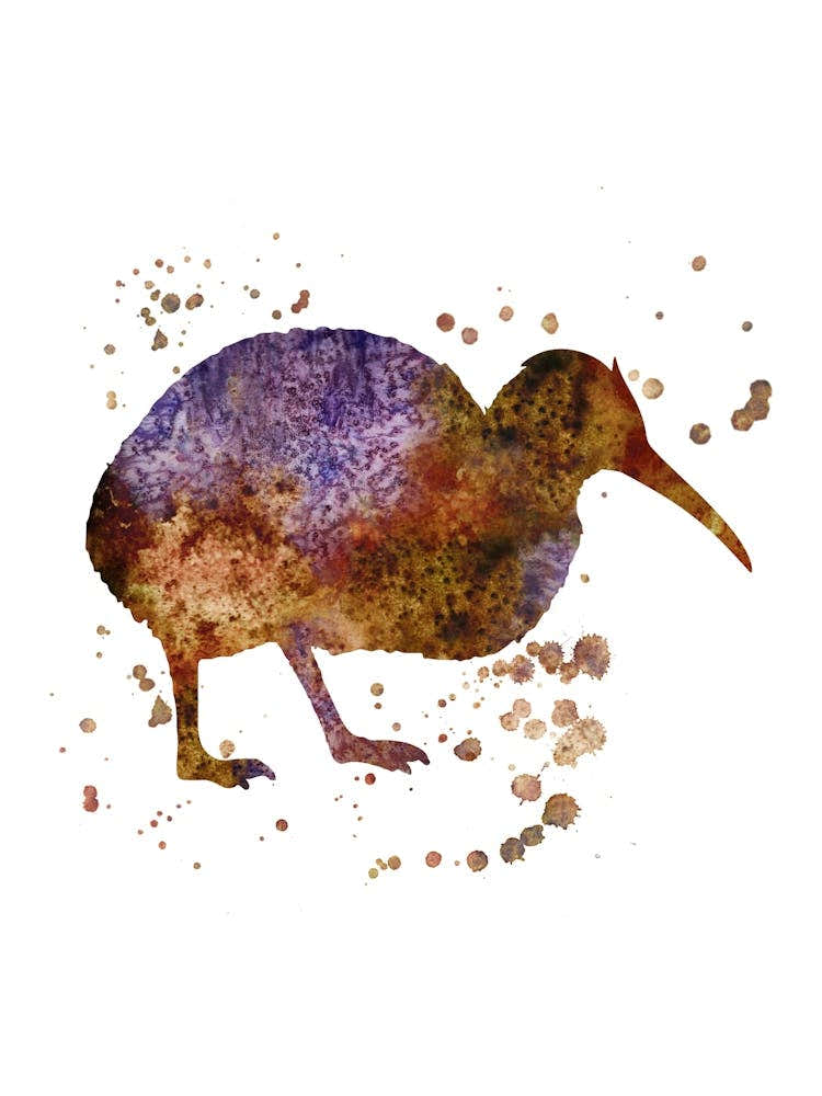 Kiwi Bird Watercolor