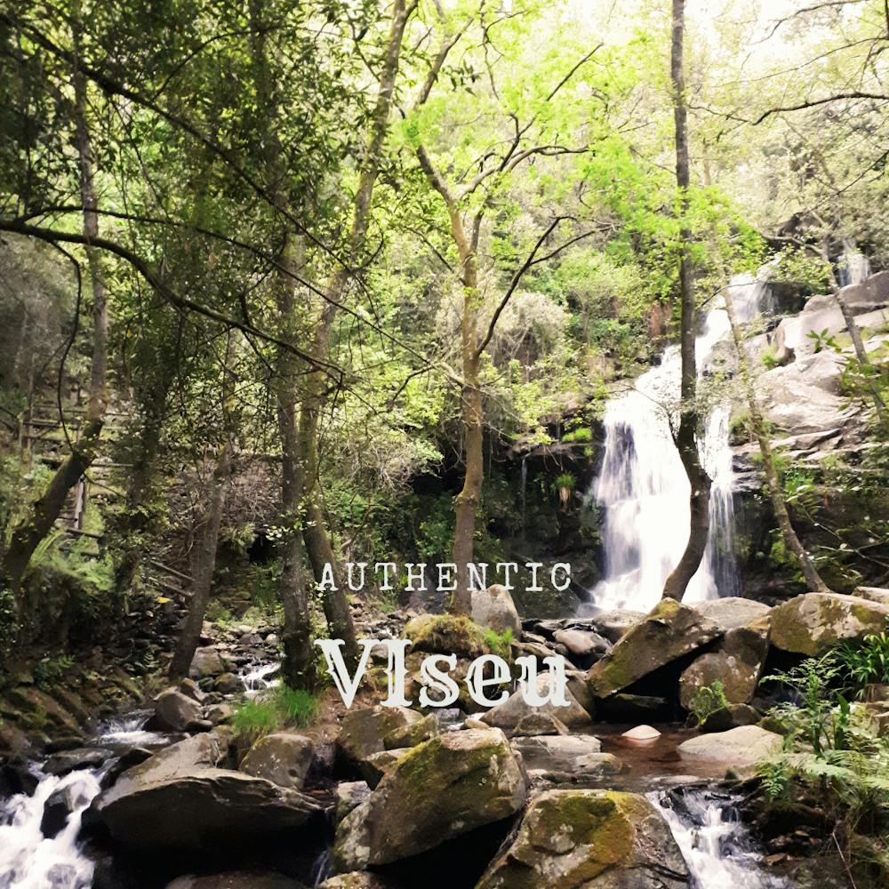 Authentic VIseu