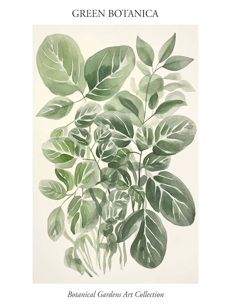 Green Botanica Collection 4