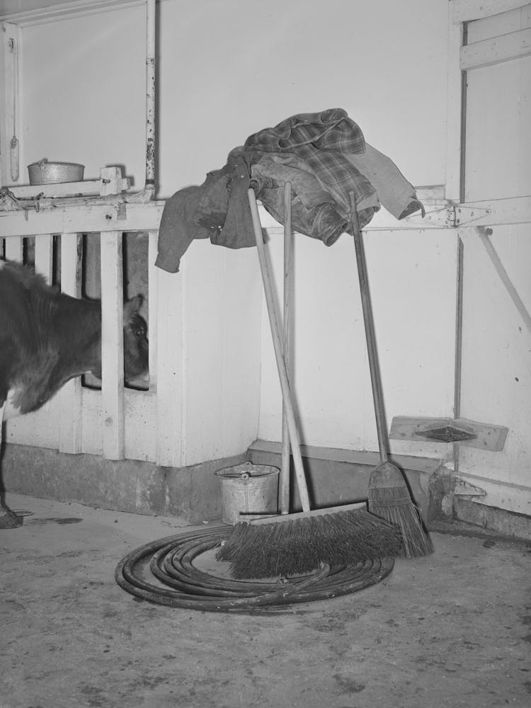 Equipment In Milking House Of Large Dairy, Tom Green County, Texas By Russell Lee