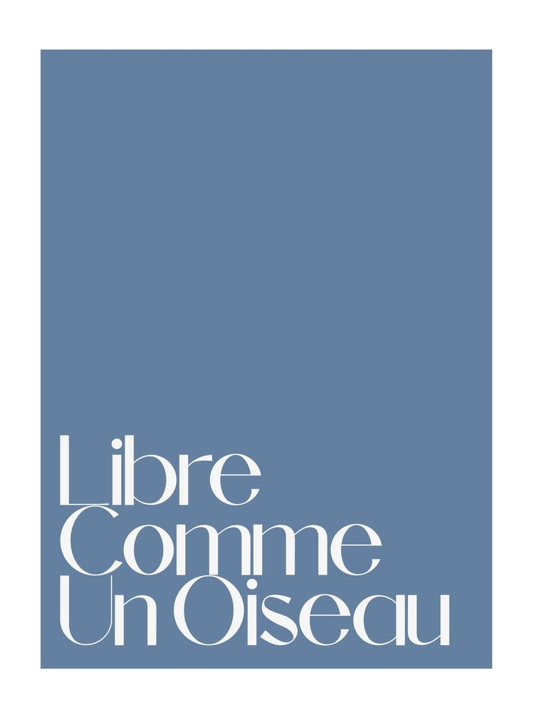 Free As A Bird French Inspired Retro