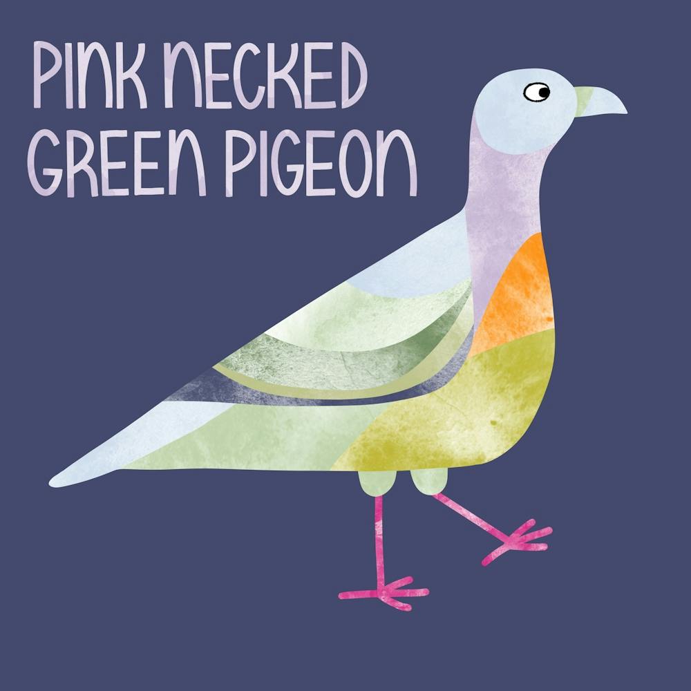 Pink Necked Green Pigeon