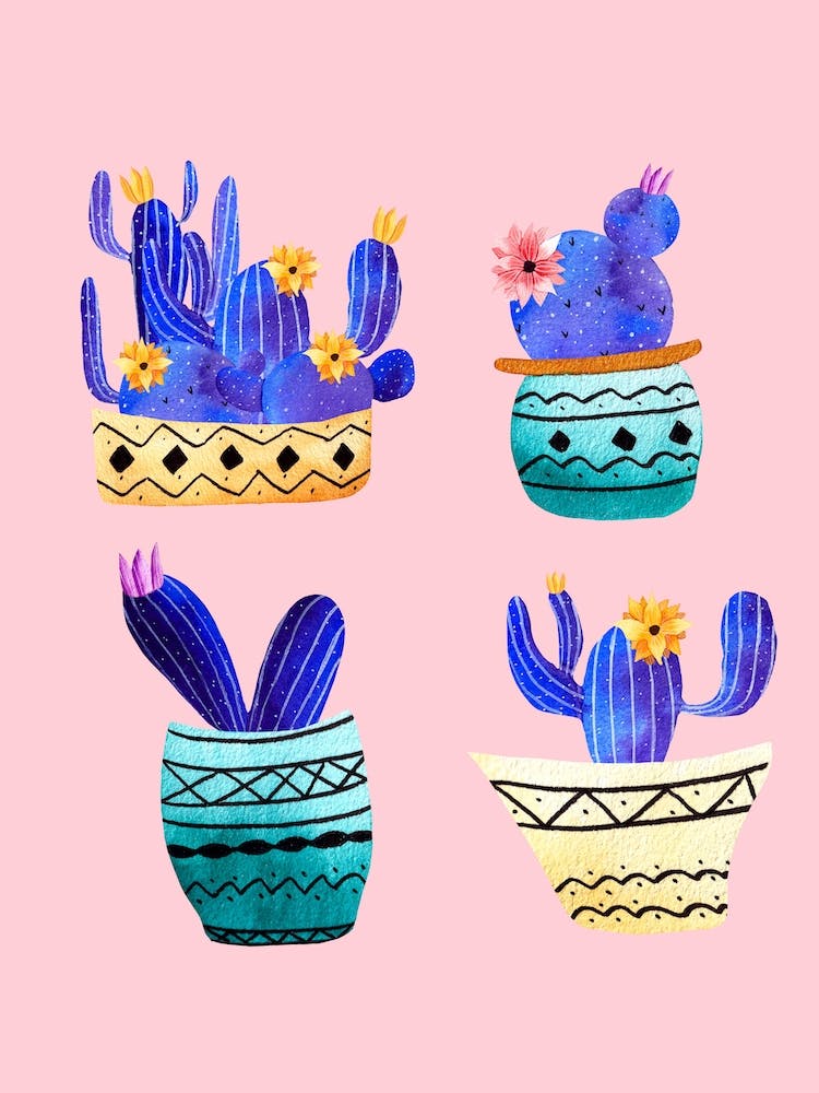 4 Cute Cactus