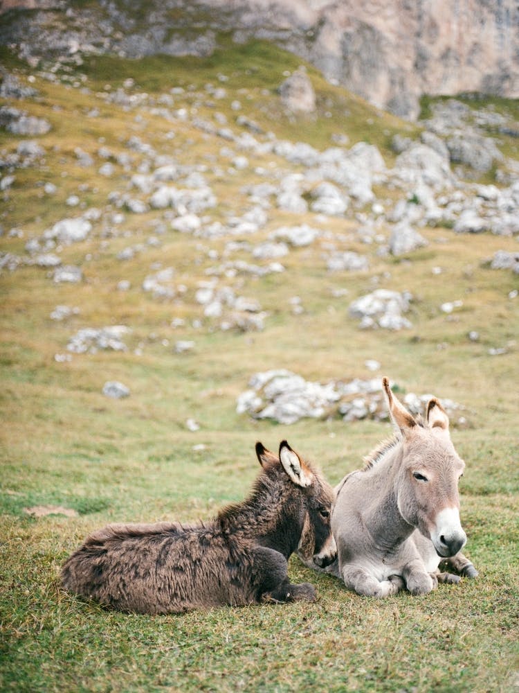 Dolomites Travel Photography 9