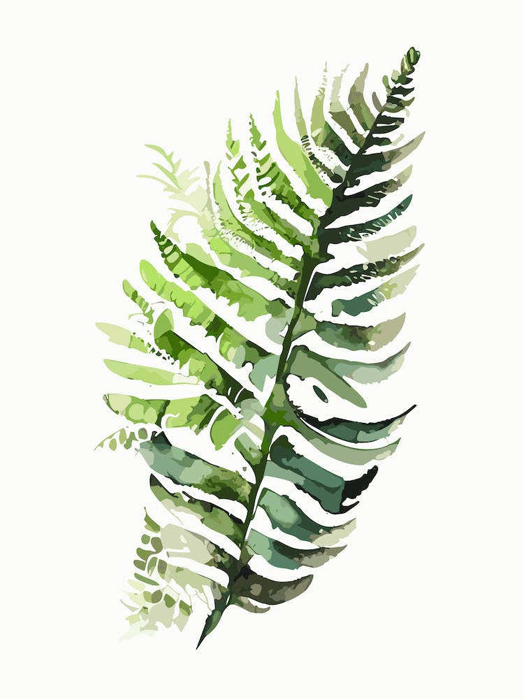 Forked Fern Watercolour