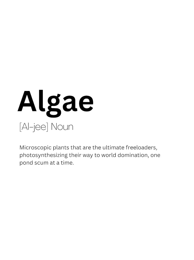 Algae Definition Meaning