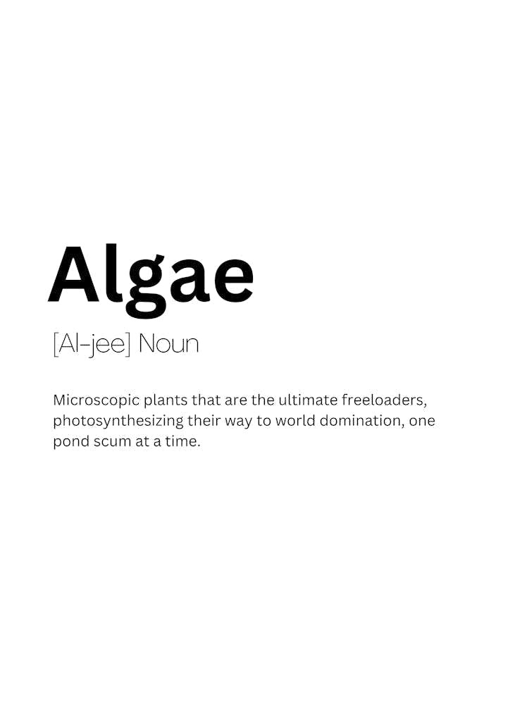 Algae Definition Meaning