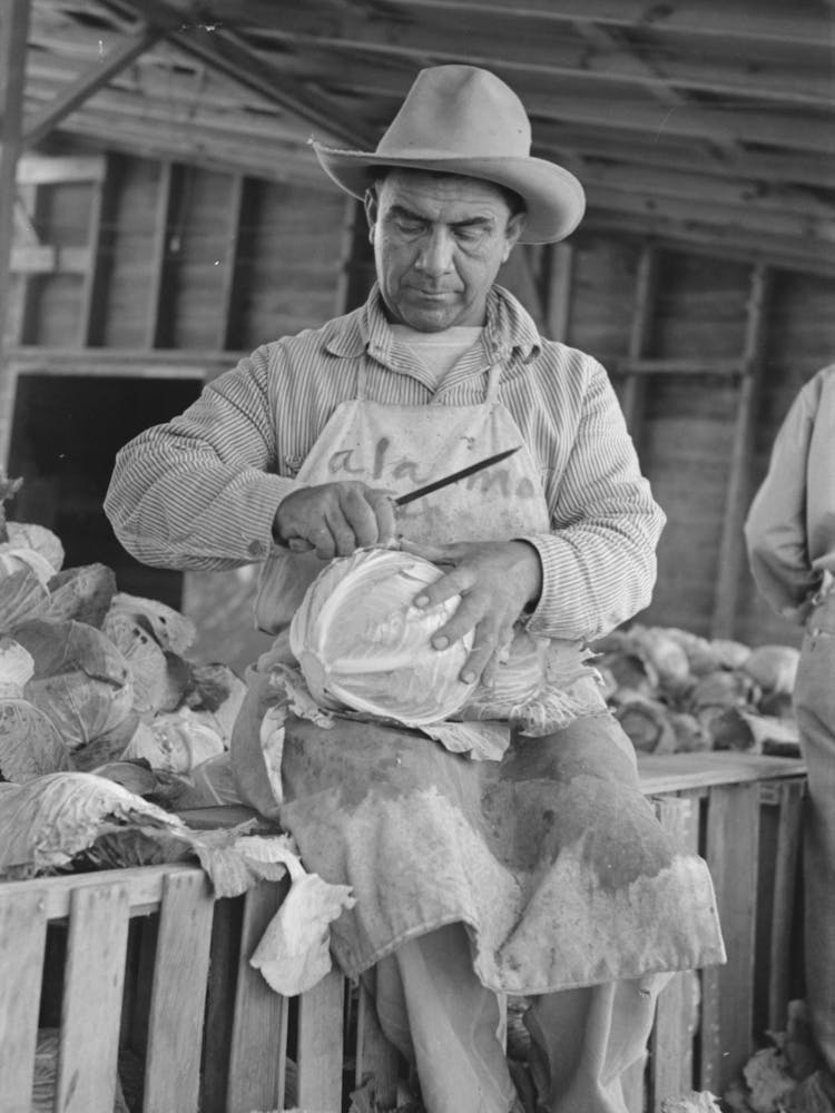 Mexican Cabbage Packer, Alamo, Texas By Russell Lee
