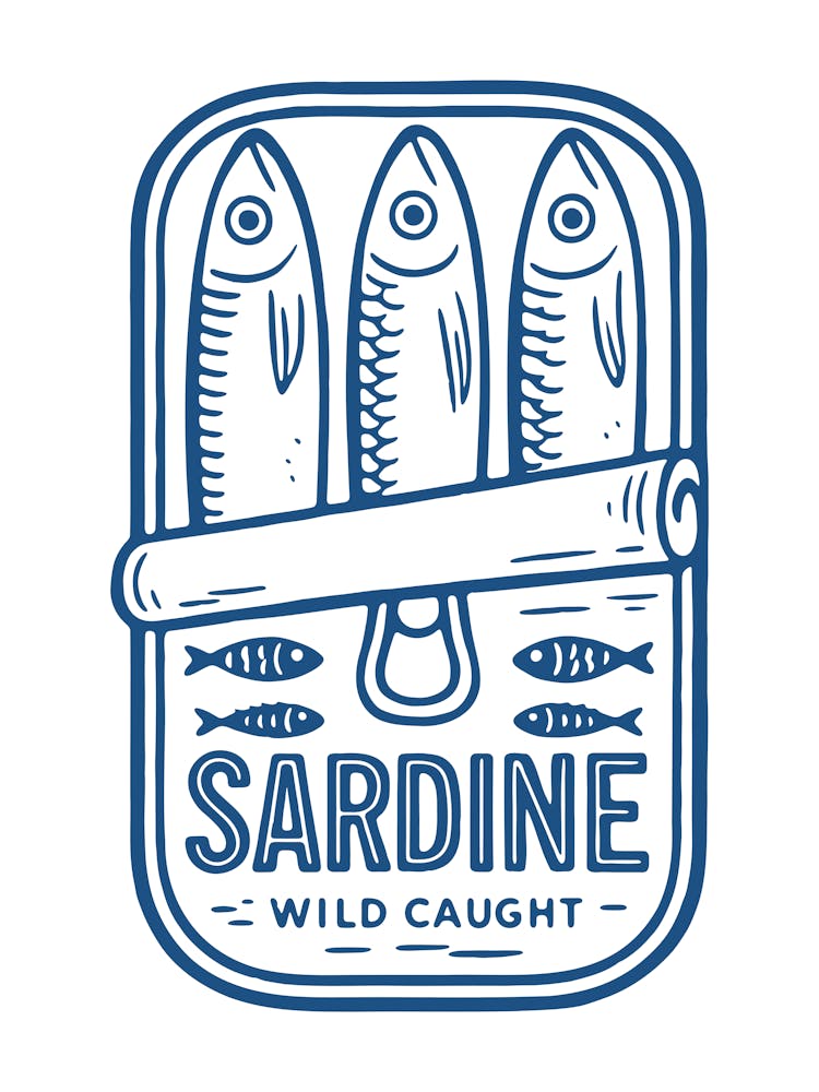 Sardine Wild Caught