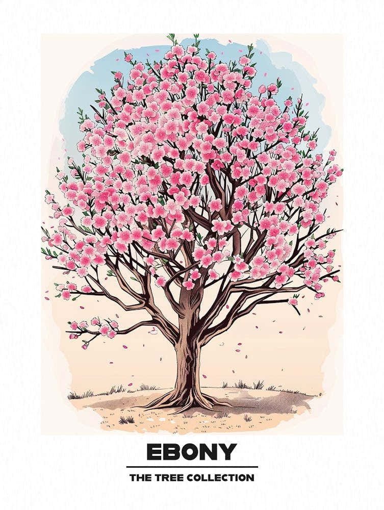 Ebony Tree Storybook Illustration 1 Poster