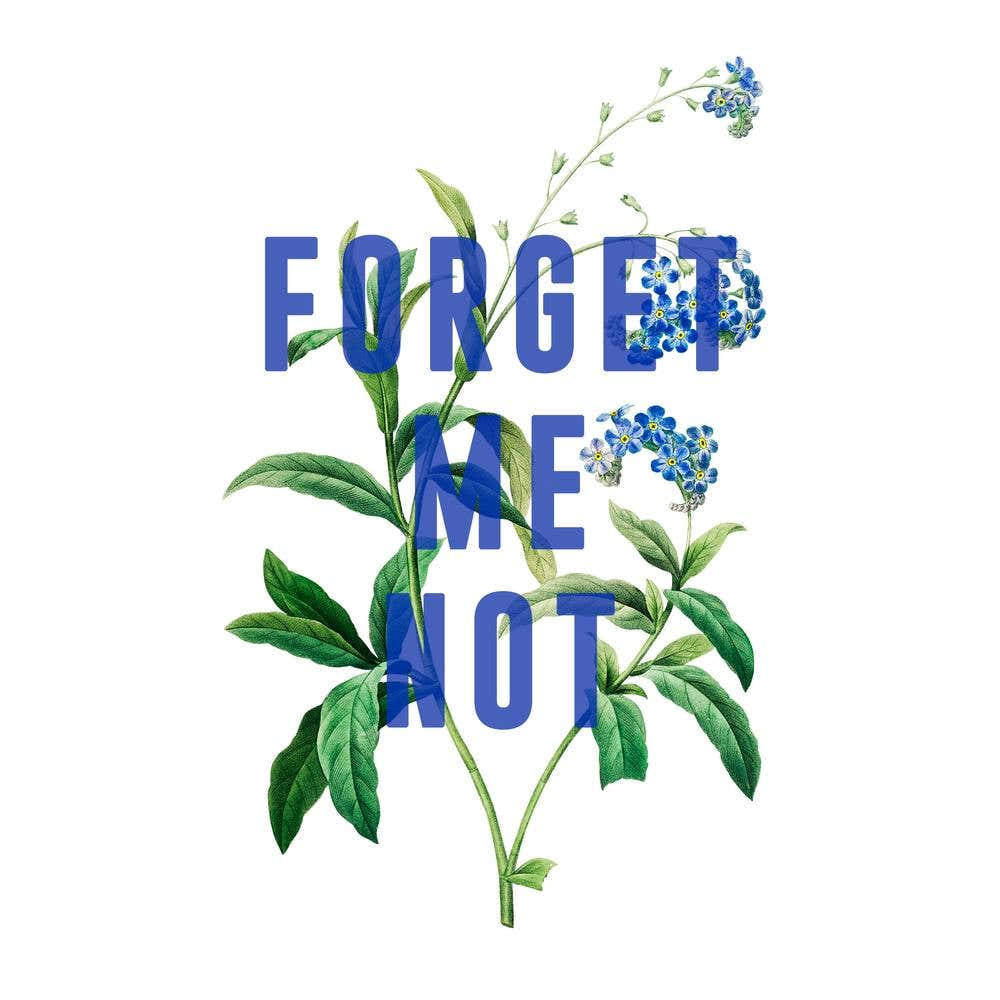 Forget Me Not Square