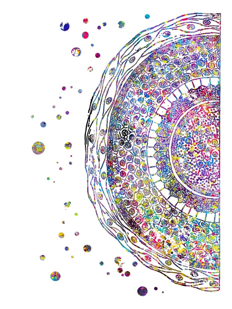 Cross Section Of Human Hair Watercolor