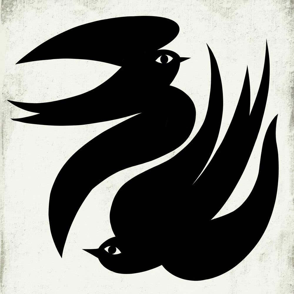 Two Black Birds Dancing In The Sky BW Square