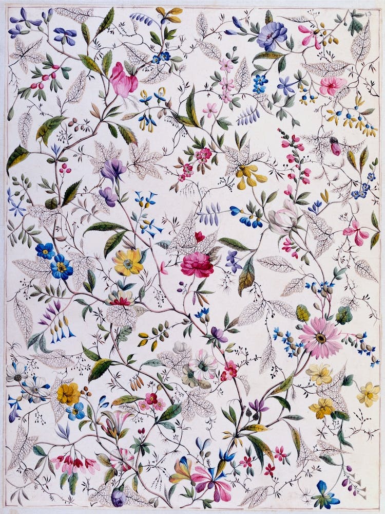 Detailed Organic Pattern