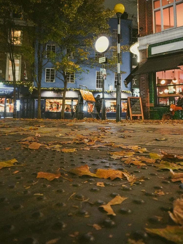Autumn Leaves In London