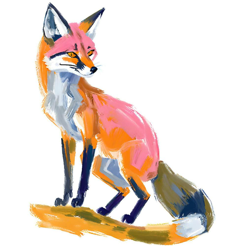 Gray Fox 02
