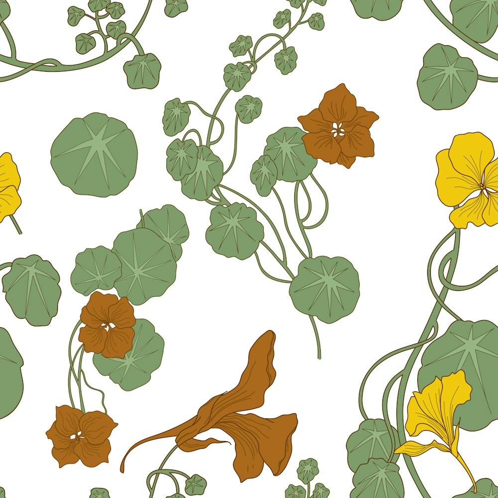 Nasturtium Flower Plant Leaves