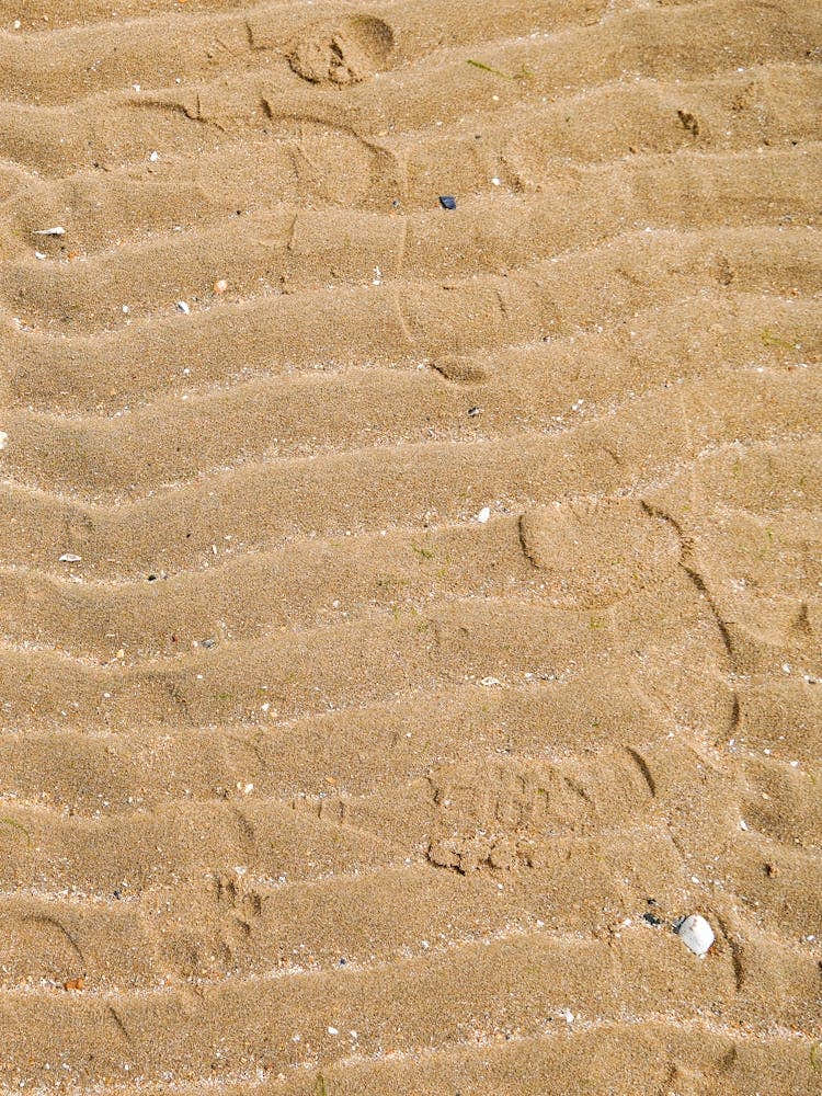 Sand Texture
