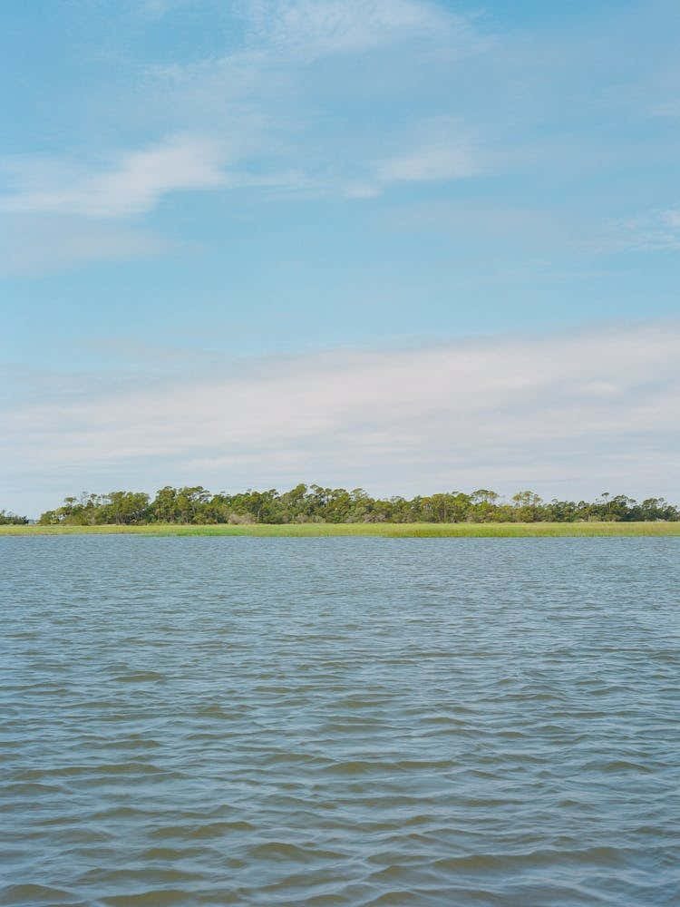 South Carolina Summer on Film