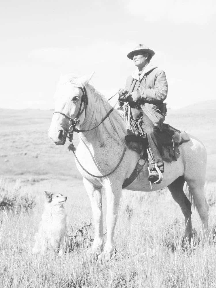 Cowboy On Horseback
