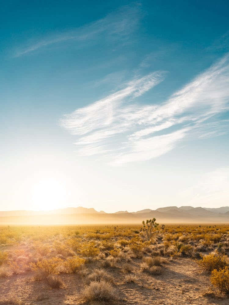 Nevada Desert Sunrise