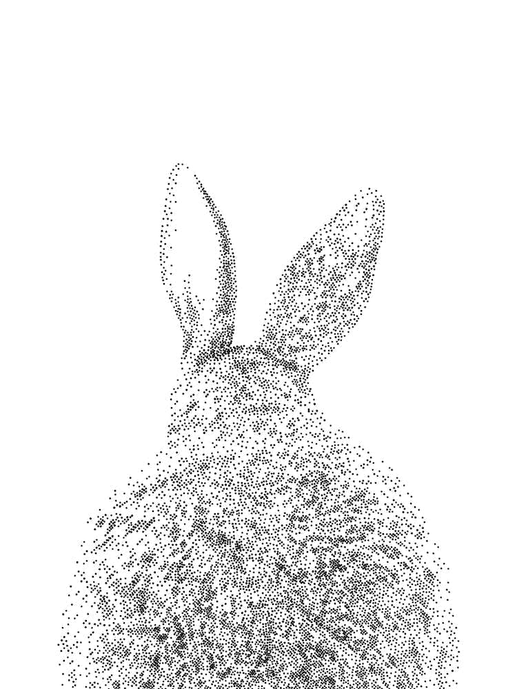 Bunny Tail Animal Print 1