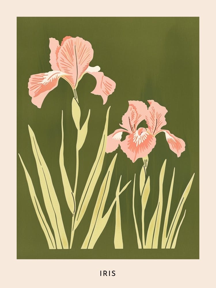 Pink & Green Iris 1 Flower Poster