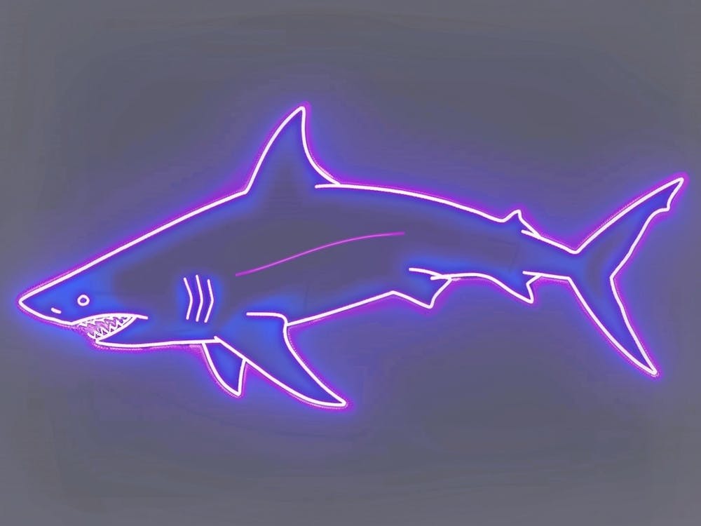 Neon Purple Bull Shark 5