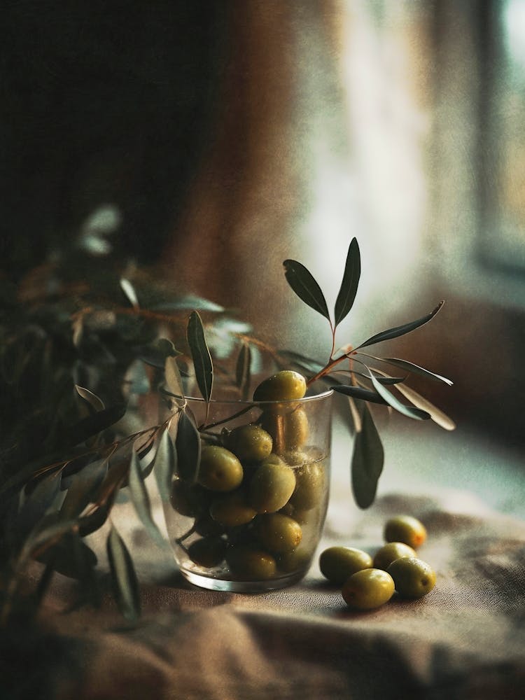 Olive Still Life No 1
