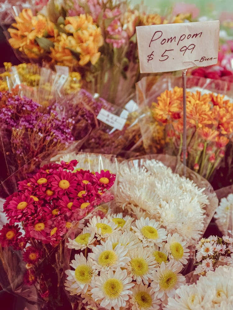 Pom Pom Flowers, Paris