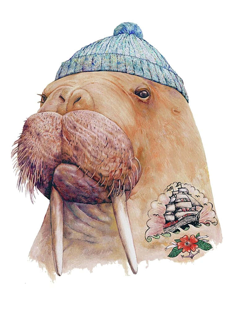 Tattooed Walrus