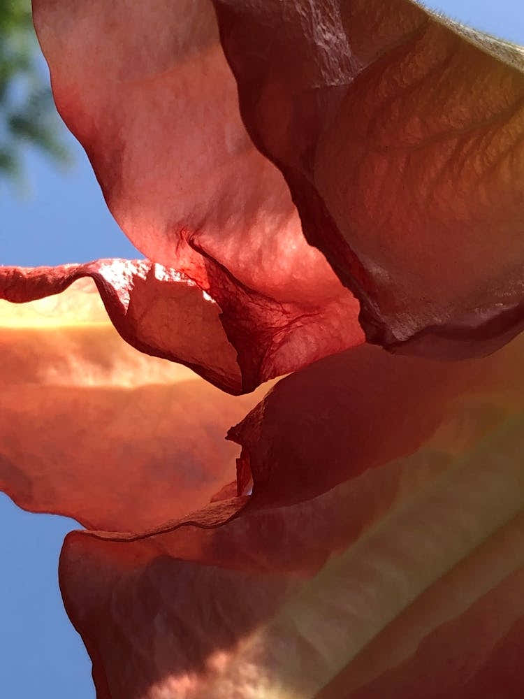 82082c21 F11b 4f53 969c 61af06dbf454