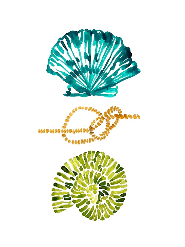 Watercolor Sea Shells