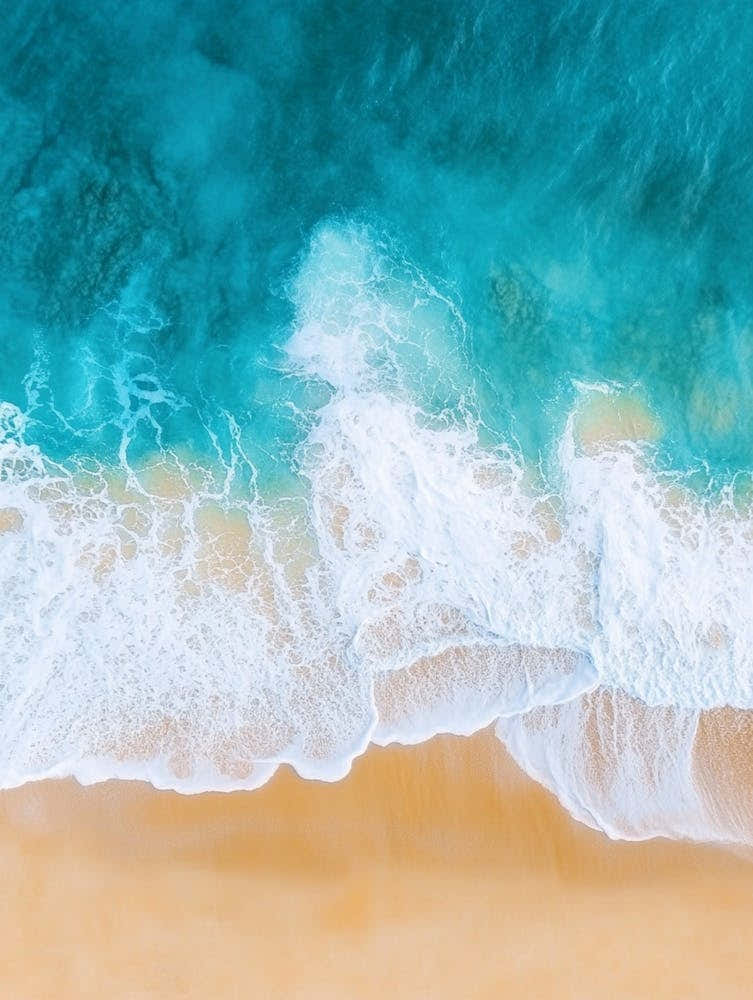 Aerial View Of A Beach 73