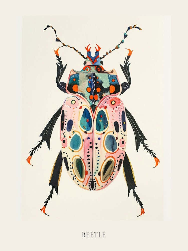 Colourful Insect Illustration Beetle 21 Poster