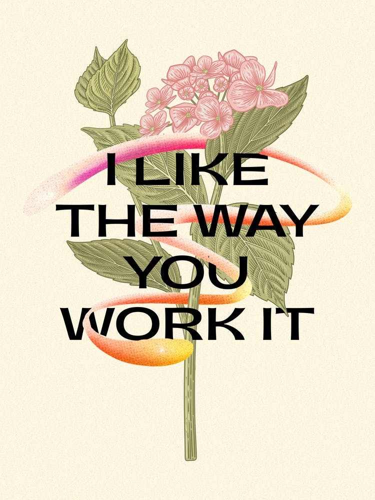 I Like The Way You Work It