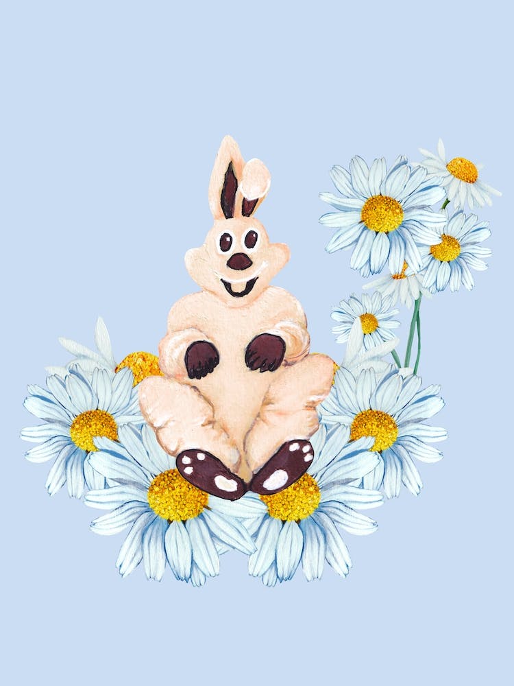 Bunny And Daisy